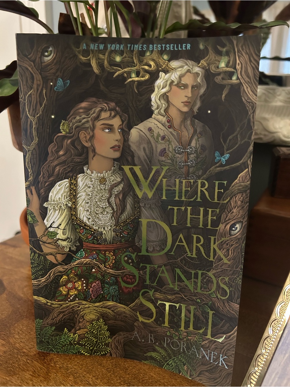 New, Where the Dark Stands Still, by AB Poranek